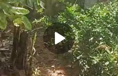 Imagem: Venda 75.000