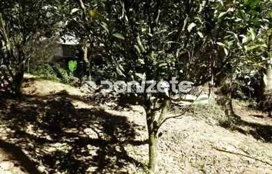 Imagem 15: Chácara com 3 quartos à venda, 370m² - Cidade Recreio da Borda do Campo