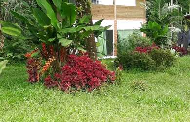 Imagem: A casa possui 2 Dormitórios, 1 Banheiro, 5 Vagas na garagem