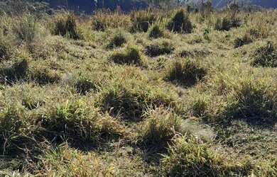 Imagem 6: Vende se um terreno no pouso alegre