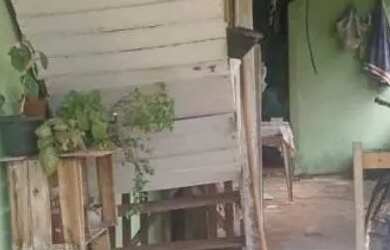 Imagem: A casa possui 2 Dormitórios, 2 Banheiros, 2 Vagas na garagem