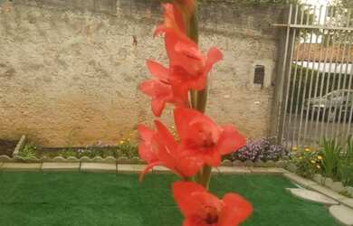 Imagem 15: Sobrado para Venda em Curitiba, Boa Vista, 4 dormitórios, 1 suíte, 3...