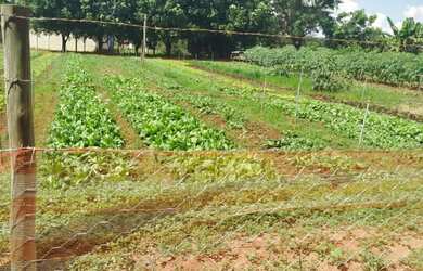 Imagem: A chácara possui 22800m² de Área e está localizado em Bady