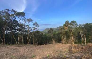 Imagem 7: Terreno em local tranquilo e seguro