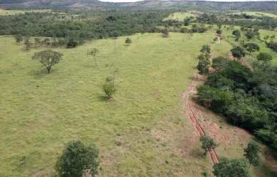 Imagem 7: A M IMOVEIS VENDE EXELENTE FAZENDA EM CABECEIRA GRANDE ESCRITURADA