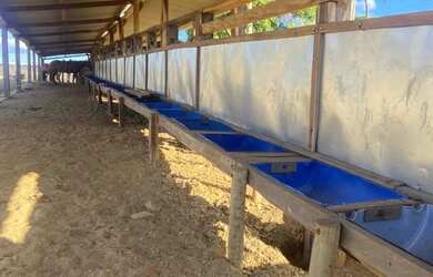 Imagem 10: Fazenda/Sítio/Chácara para venda possui 90 metros quadrados em Canabrava...