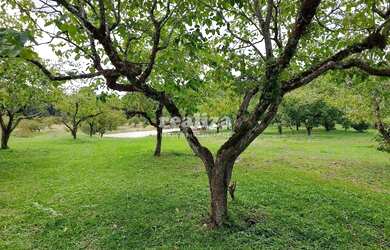 Imagem 5: TERRENO EM GRAMADO. 800m² de Área