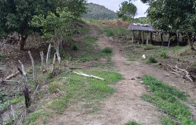 Imagem: A fazenda possui 48000m² de Área e Imóvel novo e está localizado