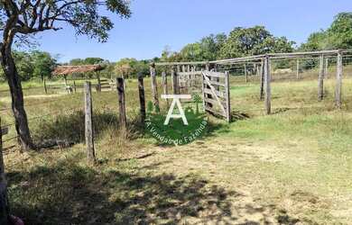 Imagem 12: Fazenda no Faina GO 38 alq