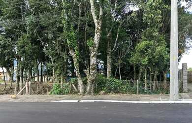 Imagem 2: Terreno à venda em Gramado - Pronto para construir