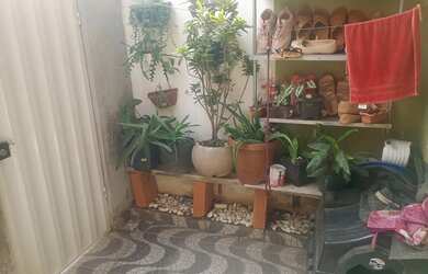 Imagem 8: Vendo imóvel recém reformado