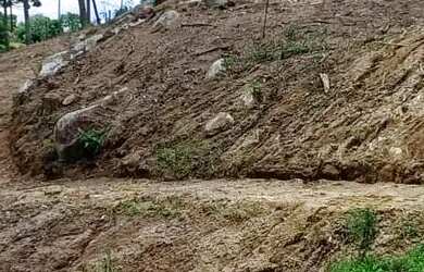 Imagem: A chácara possui 7.700m² de Área e está localizado em Mandirituba