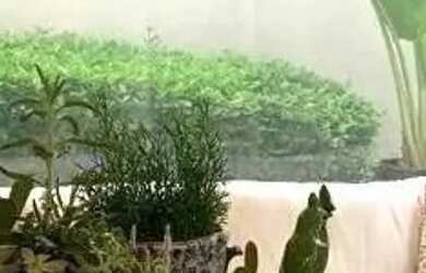 Imagem 6: Casa à venda e para alugar em Santana de Parnaíba, Alphaville, com 4...