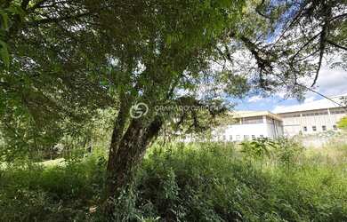 Imagem 6: TERRENO A VENDA NO CENTRO DE GRAMADO COM 802M²