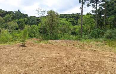 Imagem: A chácara possui 6.880m² de Área e está localizado em Gramado