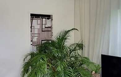 Imagem 11: Casa no anil residencial Canaã