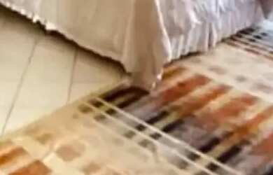 Imagem 10: Brognoli vende casa comercial e residencial no Córrego Grande, Florianópolis