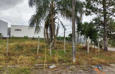 Imagem 11: Terreno à venda, 450 m² por R$ 389.900,00 - Areias - São José/SC