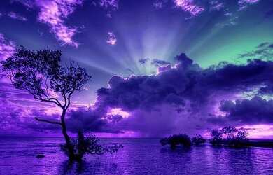 Imagem: O terreno possui 1.000m² de Área e está localizado em Alexânia