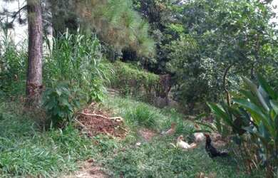 Imagem 7: Terreno 500,00 m² Chácara das Garças - Santana de Parnaíba