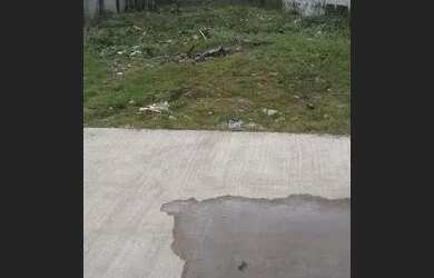 Imagem 2: Terreno em Ubatuba. 