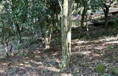 Imagem 5: Terreno Boa vista Da aparecida 5800m2