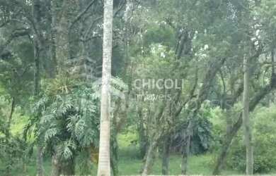 Imagem 16: Misto Hotel Office em. Área de serviço, Lareirae5 Vagas na garagem