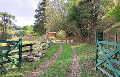 Imagem: Sítio em Cunha - Centro - Cunha/SP