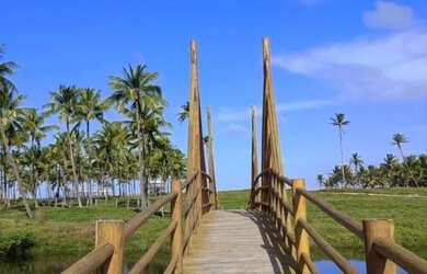Imagem: O terreno está localizado em Barra Dos Coqueiros, SE à venda