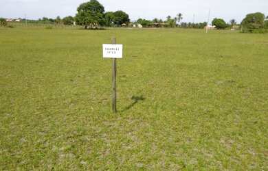 Imagem: A fazenda possui 1.250m² de Área e está localizado em Teixeira