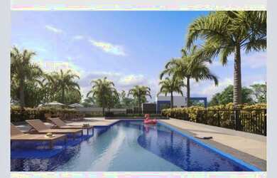 Imagem 11: Mais uma fase do nosso sucesso de vendas no Recreio