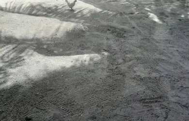 Imagem: O terreno possui 242m² de Área e está localizado em Senador