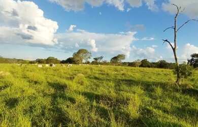 Imagem: A fazenda possui 180m² de Área e está localizado em Arraial