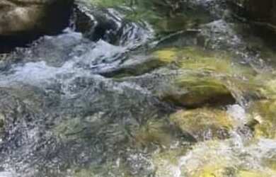 Imagem 2: Casa Sobrado a 10 min do centro da cidade