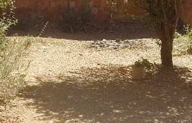 Imagem 7: Ágio em Santo Antônio Do Descoberto