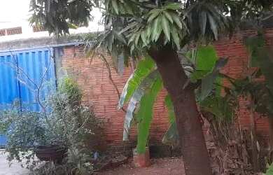 Imagem 7: Casa a venda Casa com 3 dormitórios