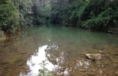 Imagem 2: A M Imoveis vende exelente Fazenda em Minas Gerais com 525Hectares