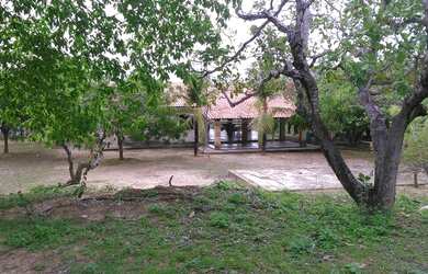 Imagem 2: Fazenda na Guaiúba 23 hectares,grandes açudes, fruteiras, 56 km de Fortaleza