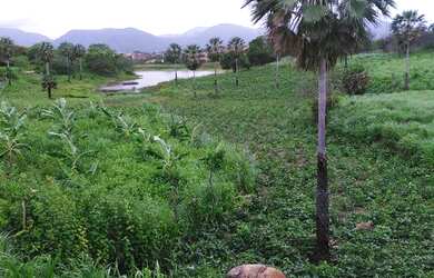 Imagem 11: Fazenda na Guaiúba 23 hectares,grandes açudes, fruteiras, 56 km de Fortaleza