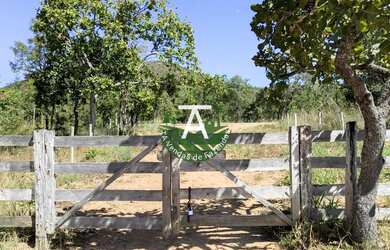 Imagem 11: Fazenda no Faina GO 38 alq