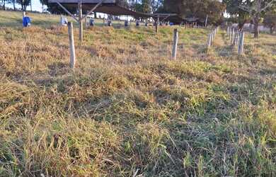 Imagem 11: Fazenda no prata 3 milhões