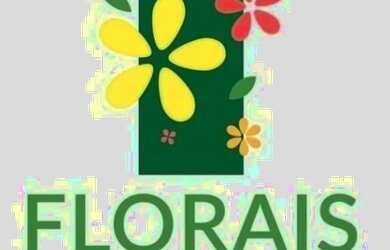 Imagem: O terreno está localizado em Ribeirão do Lipa, Cuiabá à