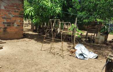 Imagem 10: Chácara em Guapó. 3.000m² de Área