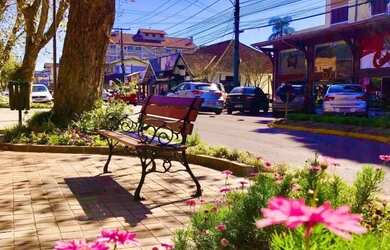 Imagem 5: Área - Bairro Linha São Paulo