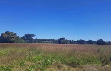 Imagem 15: Excelente Fazenda de 1.500 Hectares em Montes Claros Minas Gerais