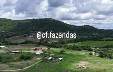 Imagem 12: Fazenda à venda em Goiás-Go
