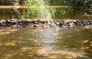 Imagem: A fazenda possui 12m² de Área e está localizado em Área
