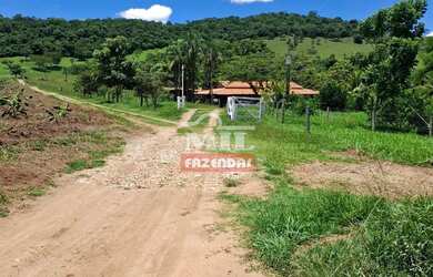 Imagem 4: Chácara 3,61 alqueires 17,5 hectares Taquaral - Go