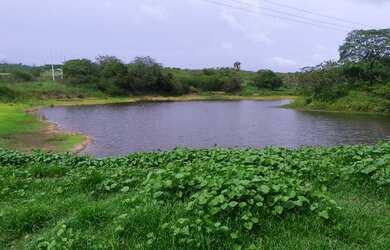 Imagem: A fazenda possui 230000m² de Área e está localizado em Guaiúba