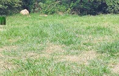 Imagem 6: Belo terreno a venda na Avenida Santana em Atibaia